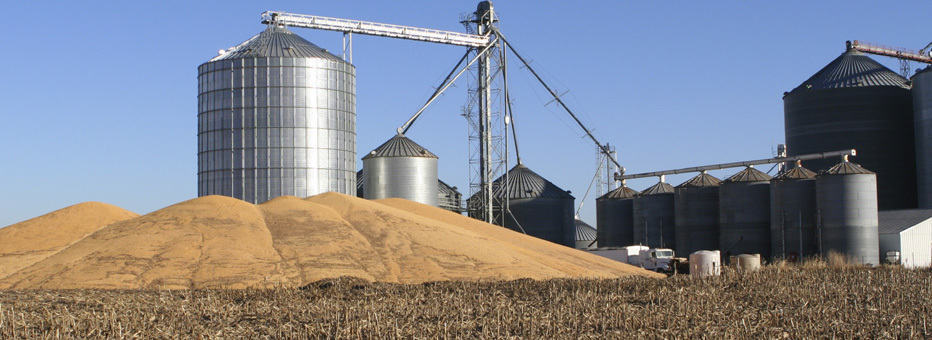 Agriculture and Farming